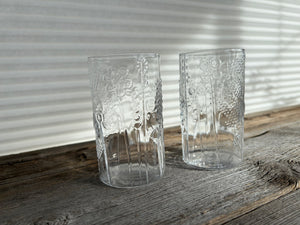 Vintage Set of 2 Iittala Flora Glasses