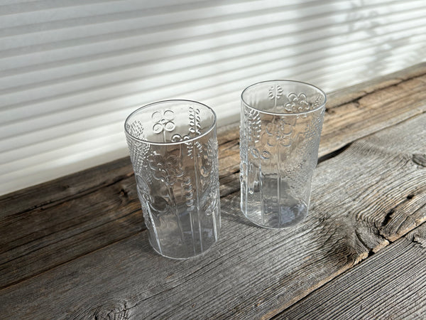 Vintage Set of 2 Iittala Flora Glasses