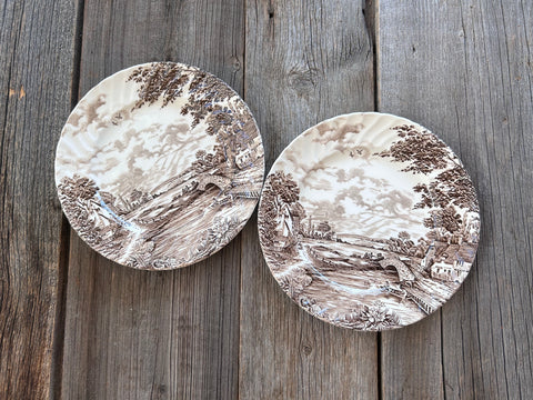 Set of 2 Vintage Ridgway Country Days Salad Plates