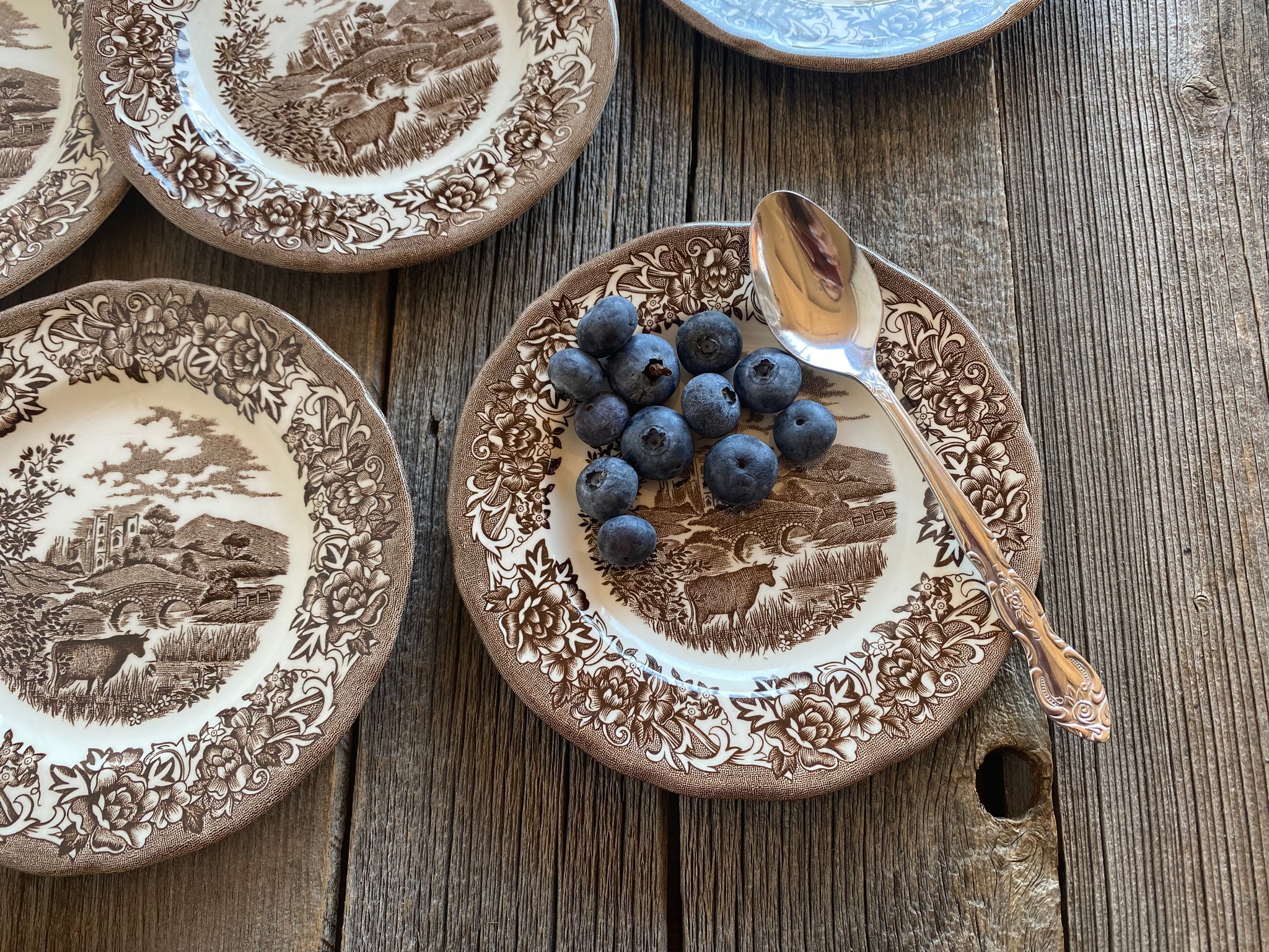 Individual Vintage J & G Meakin Romantic England Brown Bread and Butter Plate