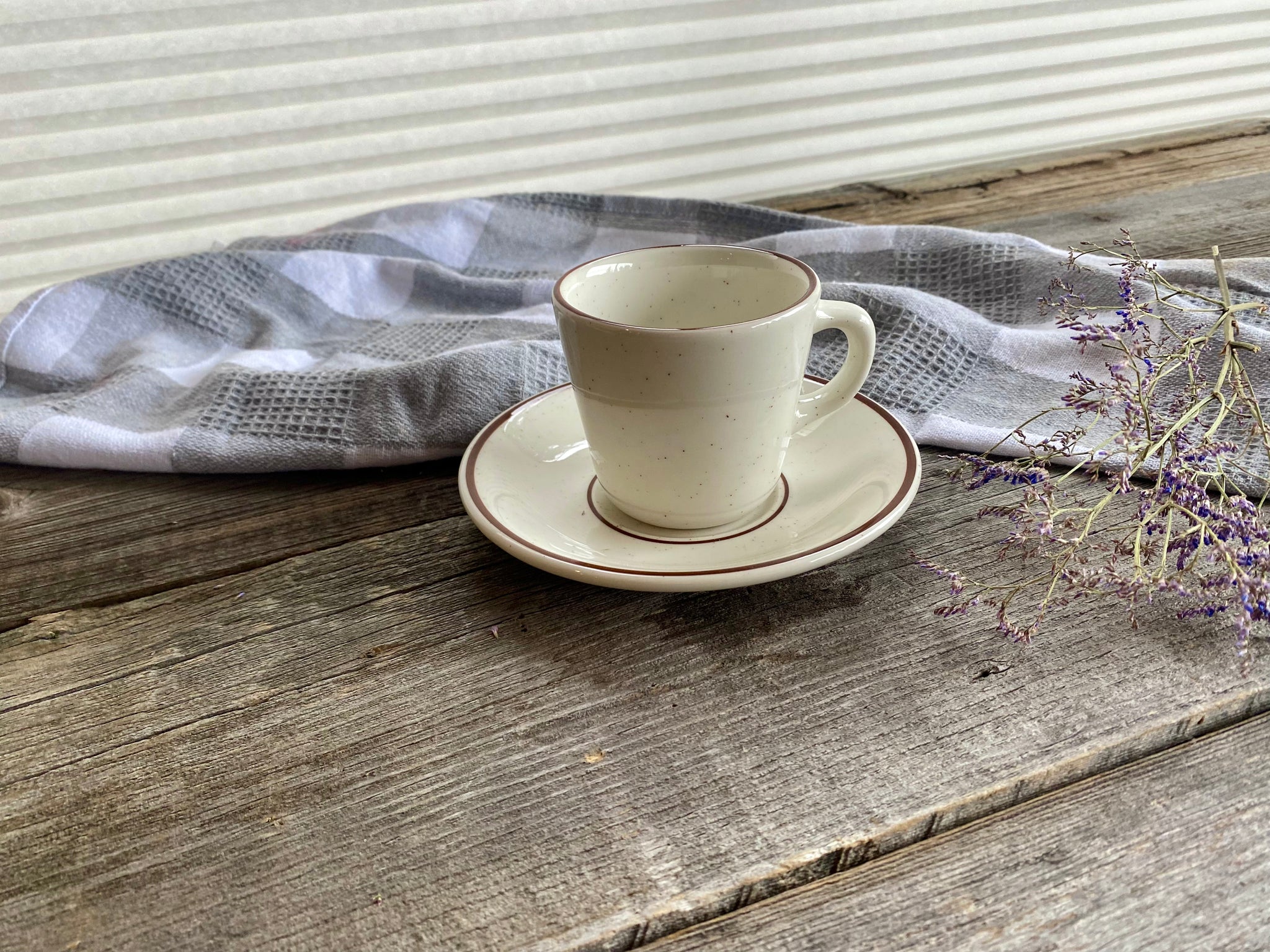 Tuxton China Bahamas Brown Speckled Teacup and Saucer