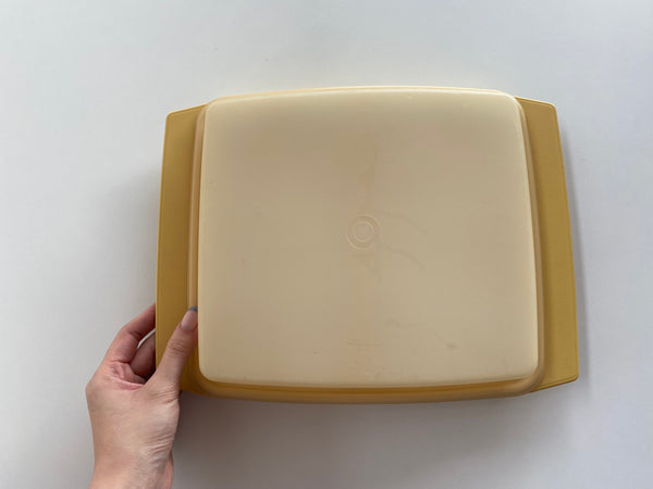 Vintage Tupperware Egg Carrier