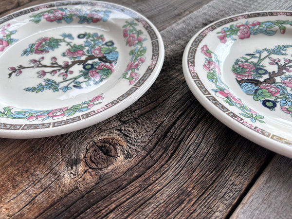 Set of 2 Vintage Duraline Indian Tree Salad Plates