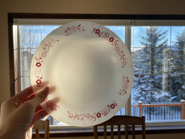 Vintage Individual Rigolleau Dinner Plate