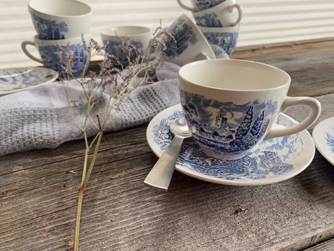 Individual Vintage Wedgwood Countryside Teacup and Saucer