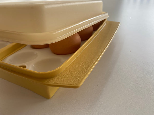 Vintage Tupperware Egg Carrier