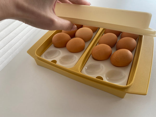 Vintage Tupperware Egg Carrier