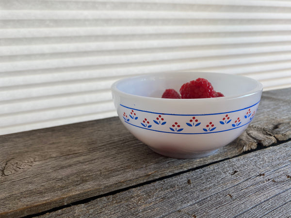 Individual Vintage Termocrisa Bowl