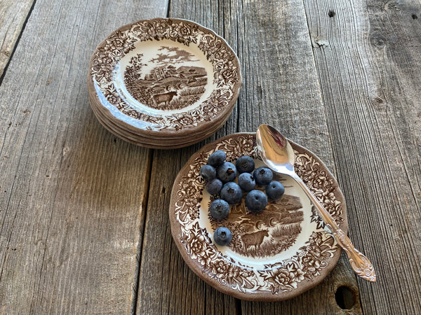 Individual Vintage J & G Meakin Romantic England Brown Bread and Butter Plate