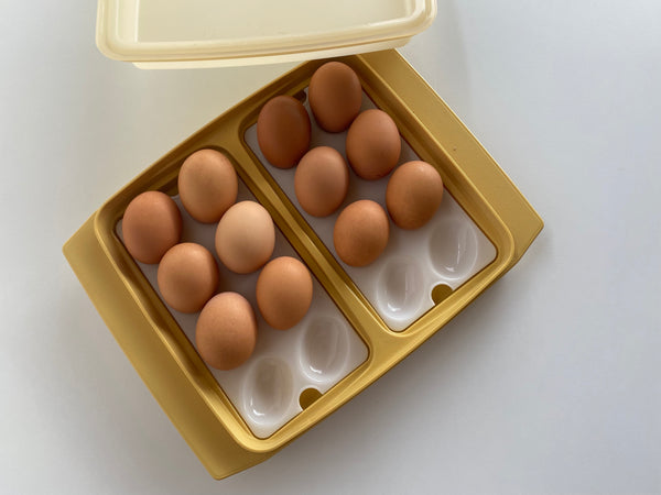 Vintage Tupperware Egg Carrier