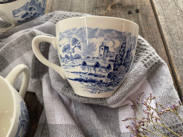 Individual Vintage Wedgwood Countryside Teacup and Saucer