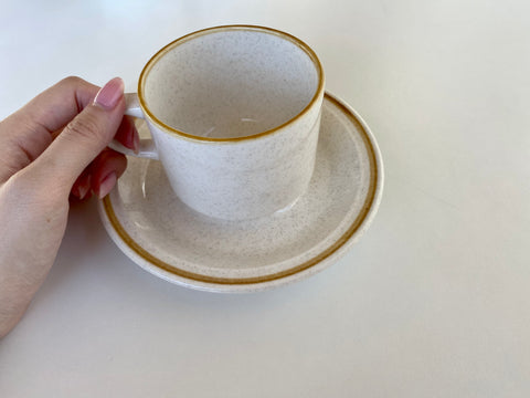 Vintage Japanese Speckled Colorstone Teacup and Saucer (2 Piece)